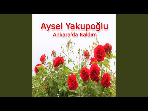 Ankara'da Kaldım