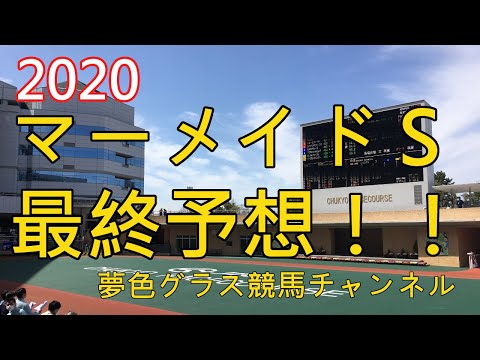 【最終予想】2020マーメイドステークス！単純にスタミナある差し馬を狙えばいいという訳でもなさそう？