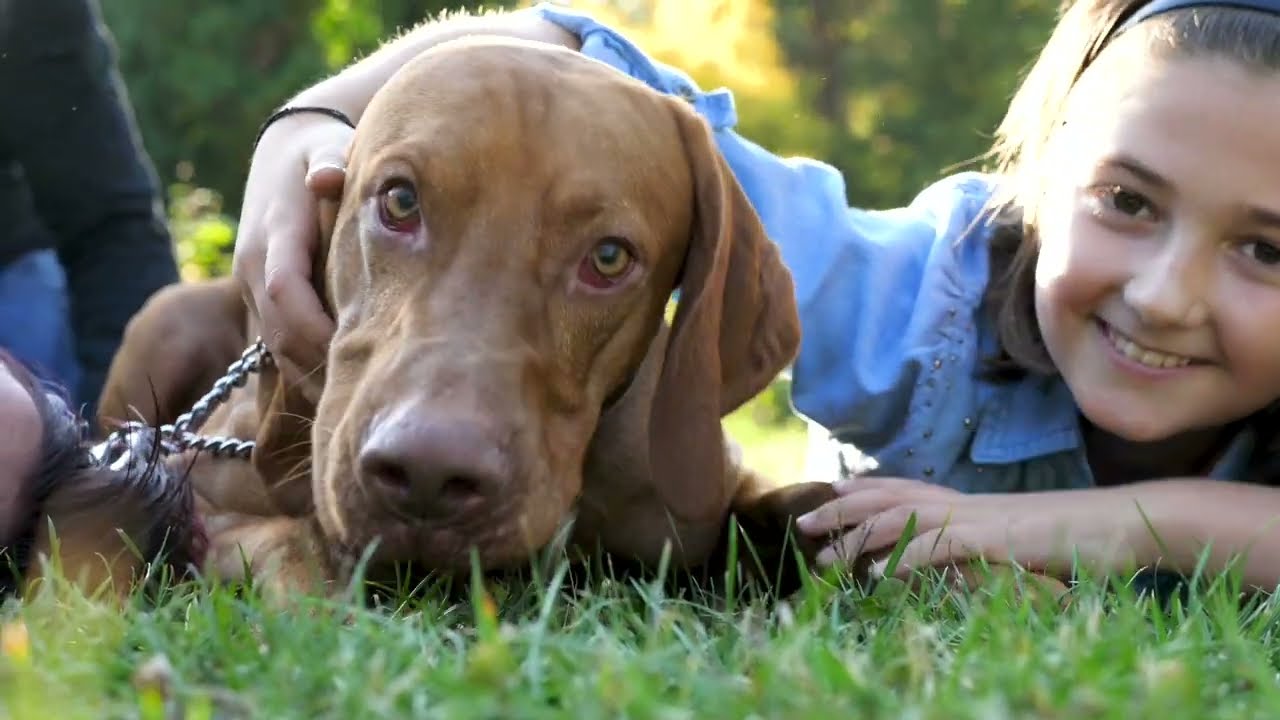 Mayor Skains Discusses Parks Improvements