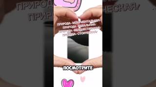 ПРИРОДА - САМАЯ ВЕЛИЧЕСТВЕННАЯ! #recommended #природасеверногокрая #наприродусудовольствием #природа