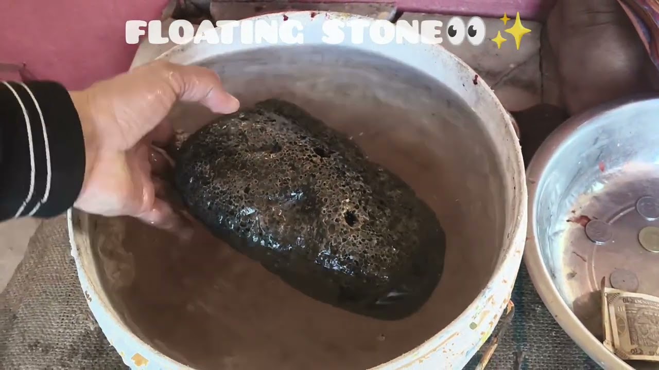 Makar sankranti trip 🌸✨👀🤌kotra par mela👐😊✨👀