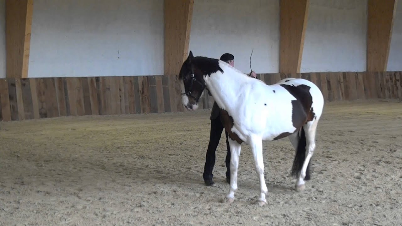 Marius Schneider und Aramis Mai 13