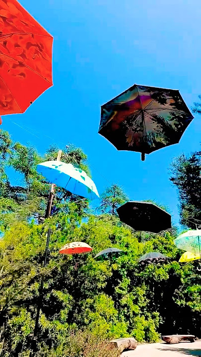 Hanging Umbrellas displays