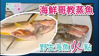 【泊檔煮意】海鮮哥教蒸魚---火點 