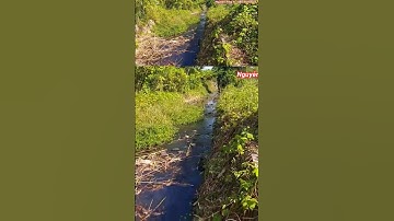 Bán gấp đất view suối - đường nhựa - có 300 thổ cư