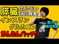 超絶よくわかる!!膵臓の働き ホルモン インスリン グルカゴン 消化酵素【解剖生理学50】