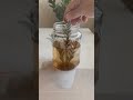 as floriculturas não querem que você saiba de jeito nenhum!