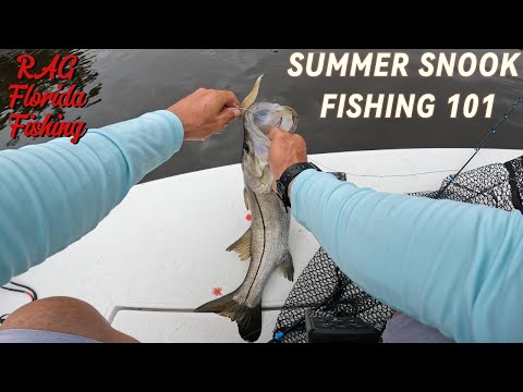 SUMMER SNOOK FISHING