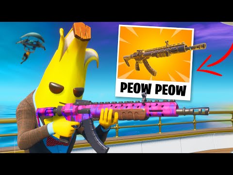 Video: Este o pușcă Meowscles Peow Peow?