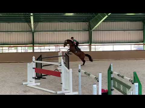 DONATELLO SEMILLY  (Nartago  x Le Tot de Semilly) training 2020