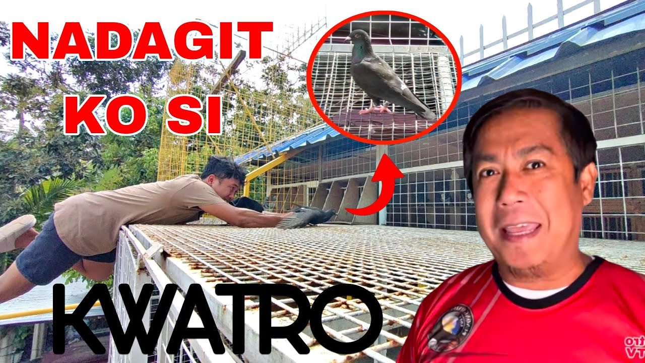 AFTER 1 WEEK NAHULI KO DIN SI KWATRO (PUNONG MINISTRO) JACKPOT SA KALAPATI AT CASH NI AMIGO!