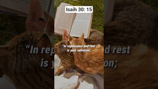 Quietness and trust is you strenght.#godisgood Jesus #prayday #love #prayerofwar #prayalways#prayan