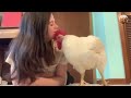 🐔 Chicken Raised for Meat Thinks He's a Dog! | Tails_H2Me 🐶💖
