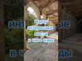 Секретные места рядом с Порту — тихо, красиво и безлюдно #Португалия #путешествия #португальскиедни