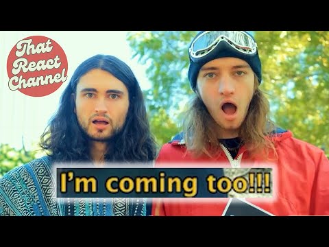 That React Channel Reacts to The Amazing The's new Instagram reel - YouTube