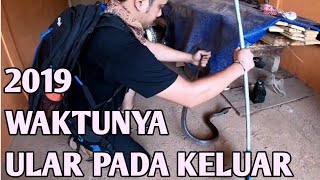 DownloadMUSIM ULAR MASUK RUMAH MP3 MP4 MUSIM ULAR MASUK RUMAH