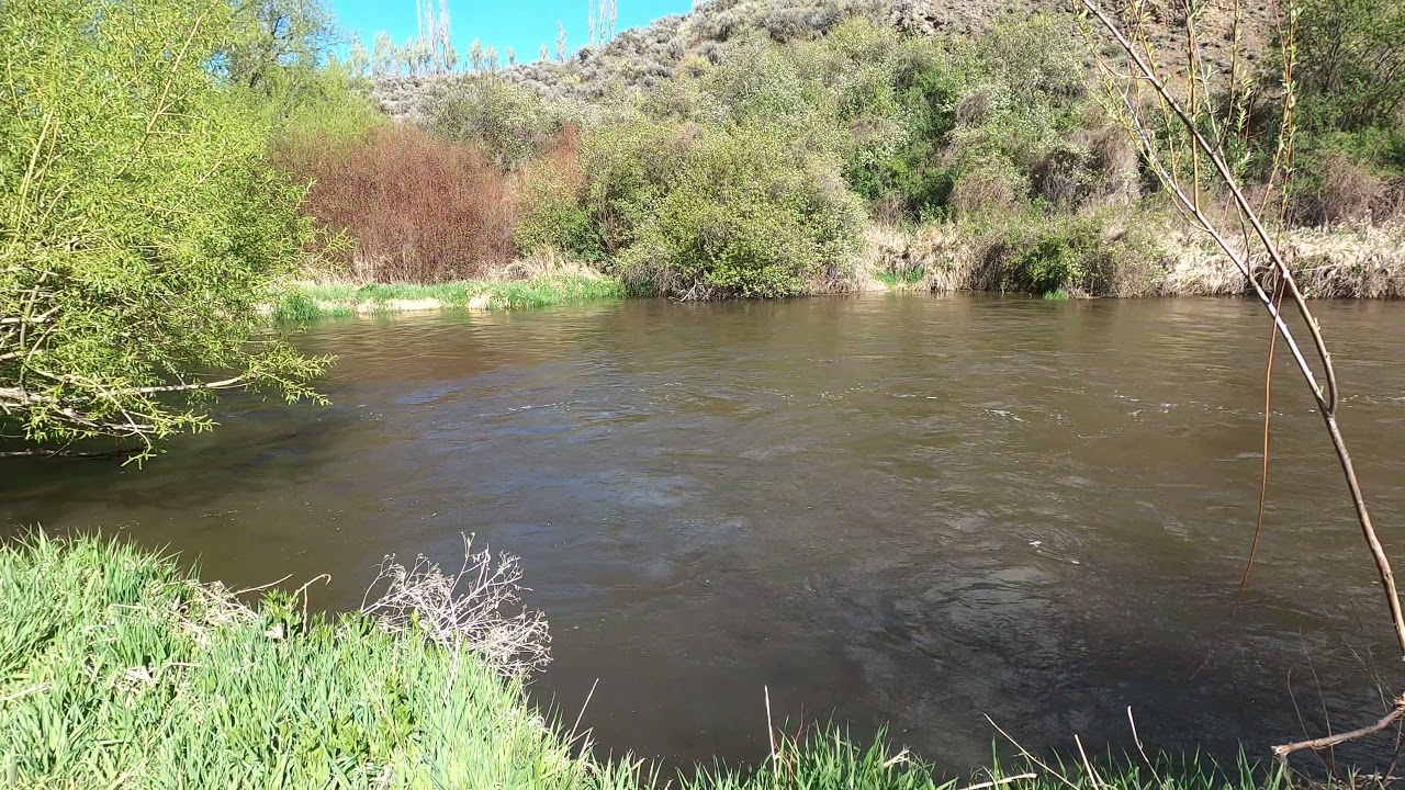 4K Walking around Helen McCabe State Park near Ellensburg, Washington