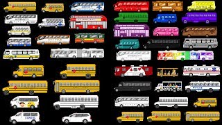 Buses Collection - School Buses, Bus Colors & More - The Kids' Picture Show (Fun & Educational)