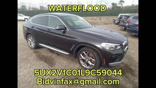 5UX2V1C01L9C59044 - WATERFLOOD 2020 BMW X4 Xdrive30i Vin