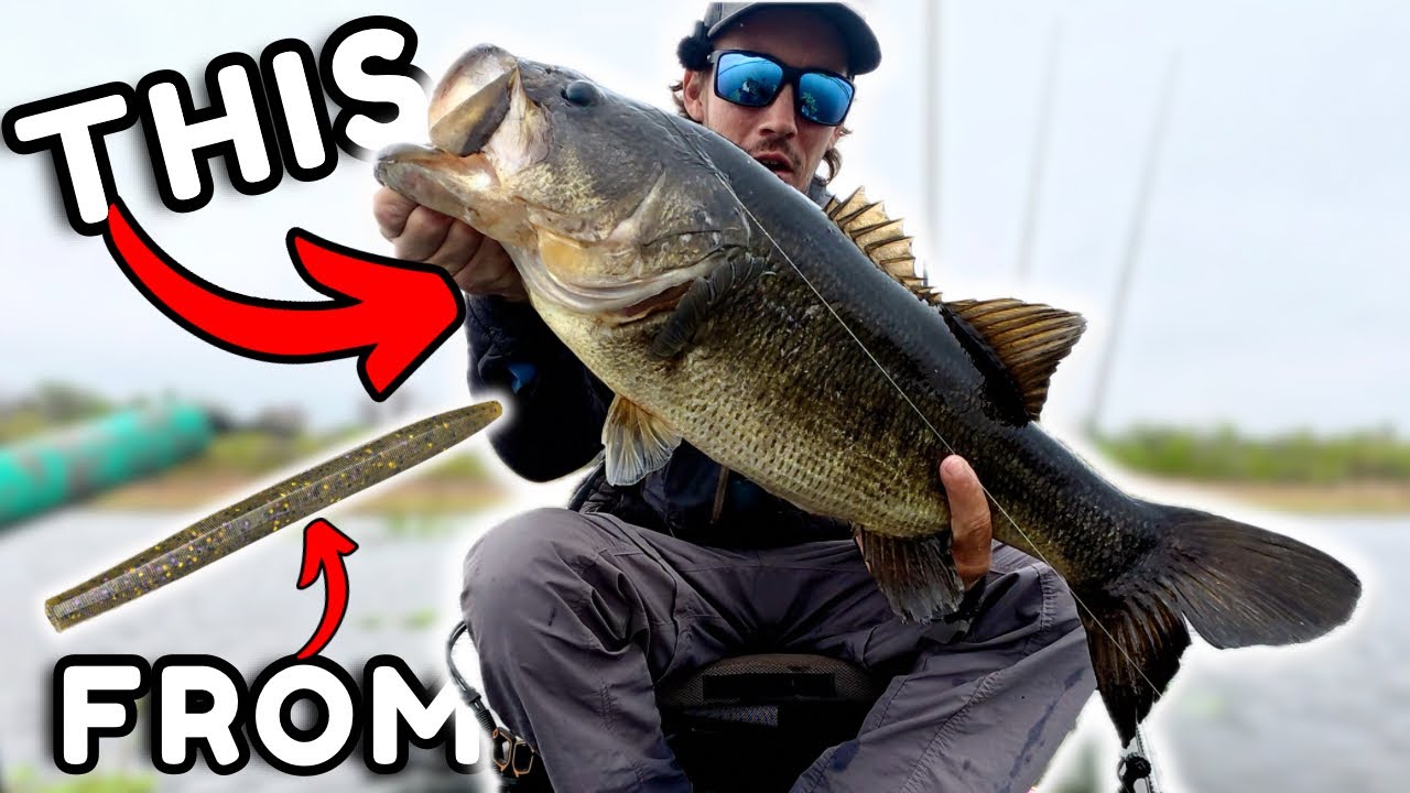 This Fish WON BIG BASS! St. John's River Kayak Bass Tournament