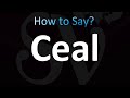 How to Pronounce Ceal (Correctly!)