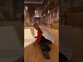 Classic church vibes on Skate. #skate4 #gaming #trending #shorts