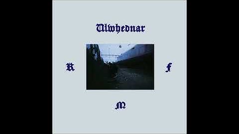 Ulwhednar - PIR Motion Detector [NE61]