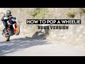 How to pop a wheelie | Noobie Version | KTM Duke 390