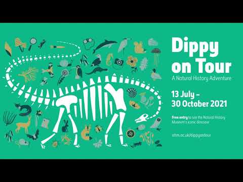 Video: Hvor er dippy nå?