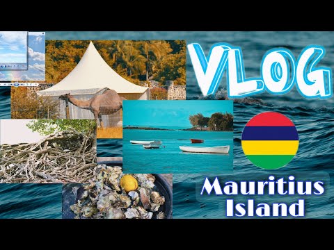 VLOG - Mauritius Island - Rivière du rempart 🌞