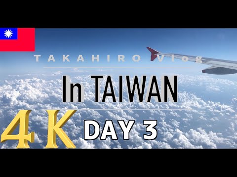 【Vlog】初めての台湾一人旅【vol.3】【行天宮】【占い横丁】【淡水駅】【淡水】【Taiwan Travel】