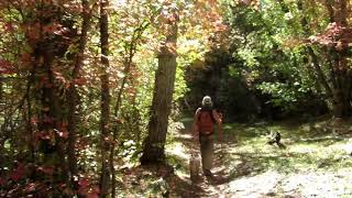 Wardsworth Trail / Hobble Creek Canyon / Utah