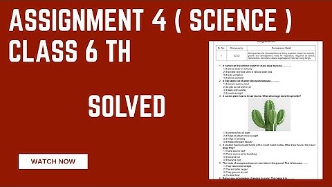 Assignment 4 Science class 6th English medium. Solved MCQ ( CEP Worksheet 4 ).
