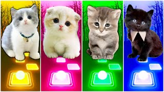 CUTE CATS - JISOO FLOWER VS IMAGINE DRAGONS ENEMY VS BTS VS FLOWERS by Funny Rhythm Games 24,207 views 7 months ago 7 minutes, 13 seconds