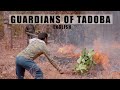 Guardians of tadoba   english