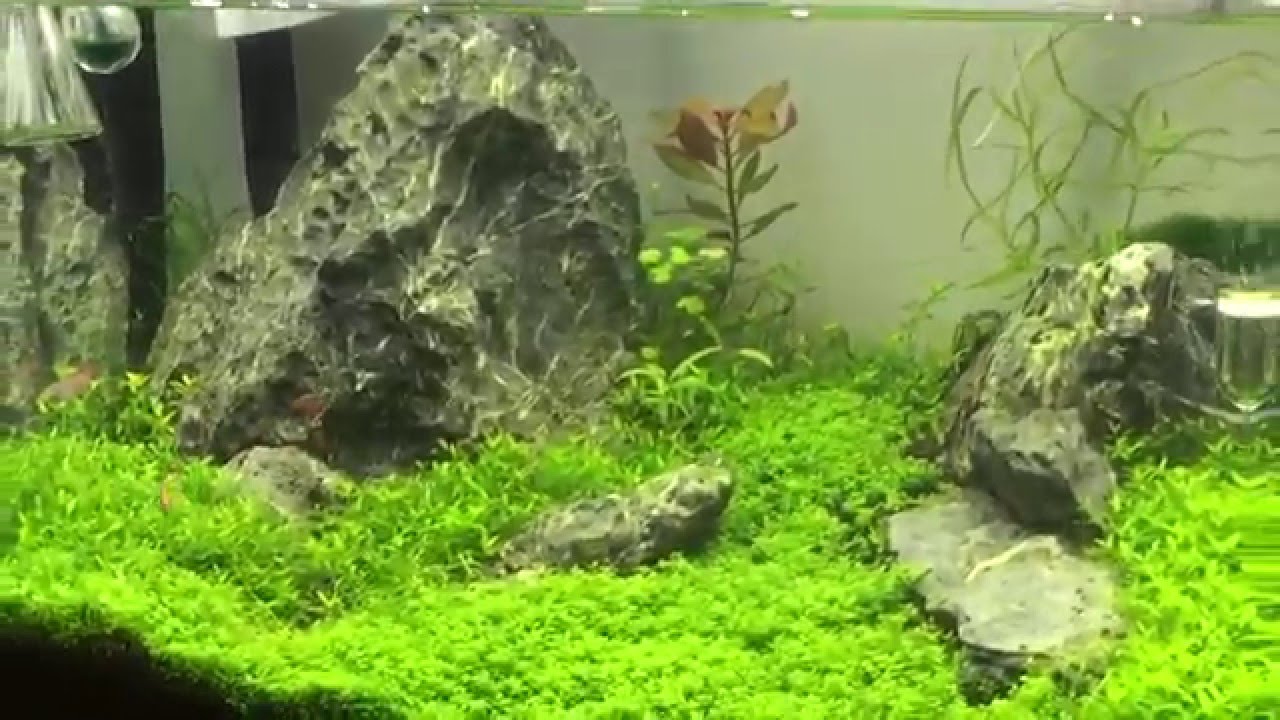 Нано Dennerle 35 L