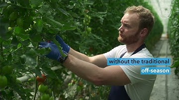 Technology for Zero Hunger