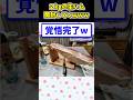 【2ch面白いスレ】2kgの生ハム、今より開封の儀を行うwww