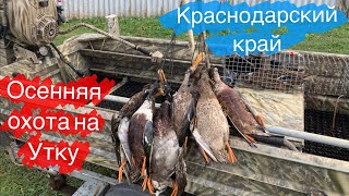 ОХОТА на УТКУ в НОЯБРЕ 2022 🦆🦆🦆 #охотанаутку #охотанаперепела