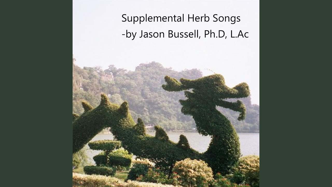 Ma Huang Xi Xin Fu Zi Tang