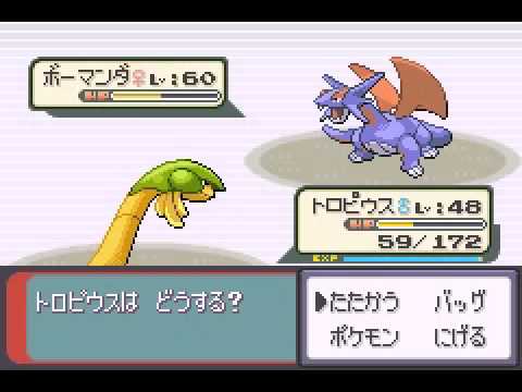 ポケモン エメラルド モー娘の田中れいなと自転車 Part Youtube ポケモン エメラルド モー娘の田中れいなと自転車 Part Youtube