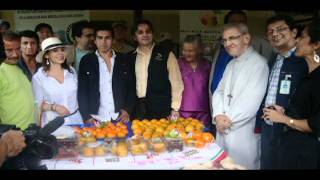 Huila - Unidad Productiva Asociación Multi Frutas Ecológicas