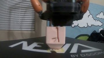 Dagoma Neva Our First Timelapse Video