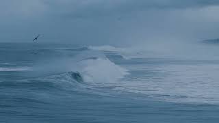 Ocean Waves On Los Angeles Beach