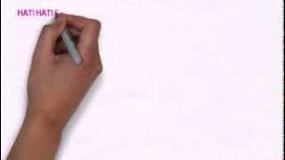 ayam bangkok ayam jago ayam birma ayam vietnam ayam petarung ayam aduan