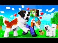 10 *CUTE* PUPPIES MINECRAFT NEEDS TO ADD!