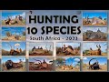 Hunting south africa 12 animals 10 species with white lion safaris