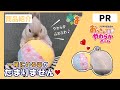 【PR商品紹介】