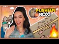 AARON RESCATA LA CAJA DE PUSHEEN! NOS VAMOS DE CAMPAMENTO! | PUSHEEN BOX SUMMER 2020