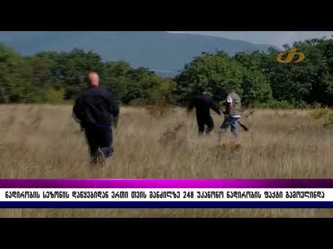 ნადირობის სეზონის დაწყებიდან ერთი თვის მანძილზე 248 უკანონო ნადირობის ფაქტი გამოვლინდა